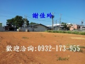 桃園市蘆竹區蘆竹-大新路 農地農地 桃園市蘆竹區蘆竹-大新路 農地農地