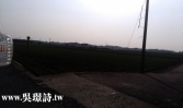 桃園市蘆竹區福興段農地◕‿◕太平洋房屋中路特區加盟店為您服務農地 桃園市蘆竹區福興段農地◕‿◕太平洋房屋中路特區加盟店為您服務農地