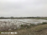 桃園市蘆竹區捷運綠線蘆興段田90坪農地 桃園市蘆竹區捷運綠線蘆興段田90坪農地