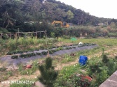 桃園市蘆竹區赤塗崎都計內田352坪農地 桃園市蘆竹區赤塗崎都計內田352坪農地