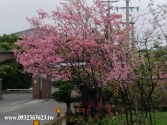 桃園市蘆竹區中福計劃田329坪農地 桃園市蘆竹區中福計劃田329坪農地